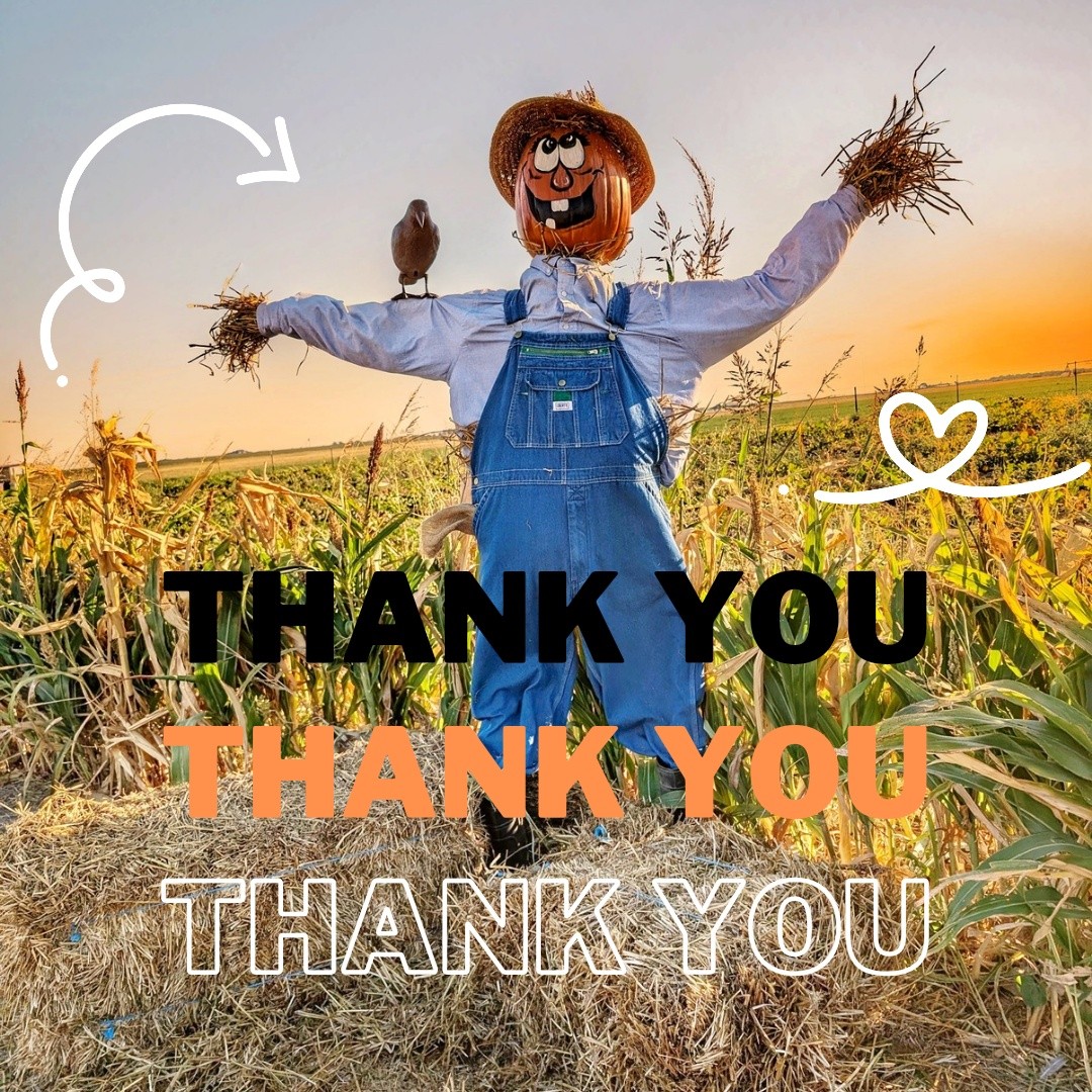 🎃 A heartfelt THANK YOU to everyone who came out and supported us this season!
We truly appreciate each of you for helping make this year special, along with all the amazing food trucks and vendors who joined us. Although it was a short season due to a lower pumpkin yield, we’re grateful for your continued support of our small farm. 🍂
While the patch may be closed, we still have plenty of fresh honey available! 🍯 You can order online and continue enjoying a little piece of the farm year-round.
And don’t forget—you can catch us throughout the year at events around town with Poppin' West Texas kettle corn! 🍿
#pumpkinseason #smallfarm #pumpkin #localhoney #pumpkinpatch #lubbocktx #lubbocklocal #falldecor #tandjfarms #lubbock
Thank you for being a part of our farm family!