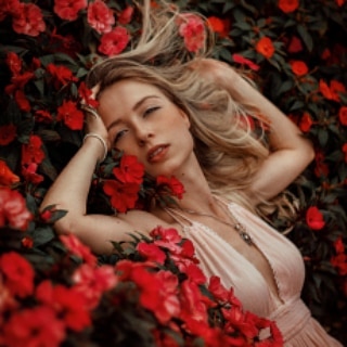 Instagram Image Instagram Image