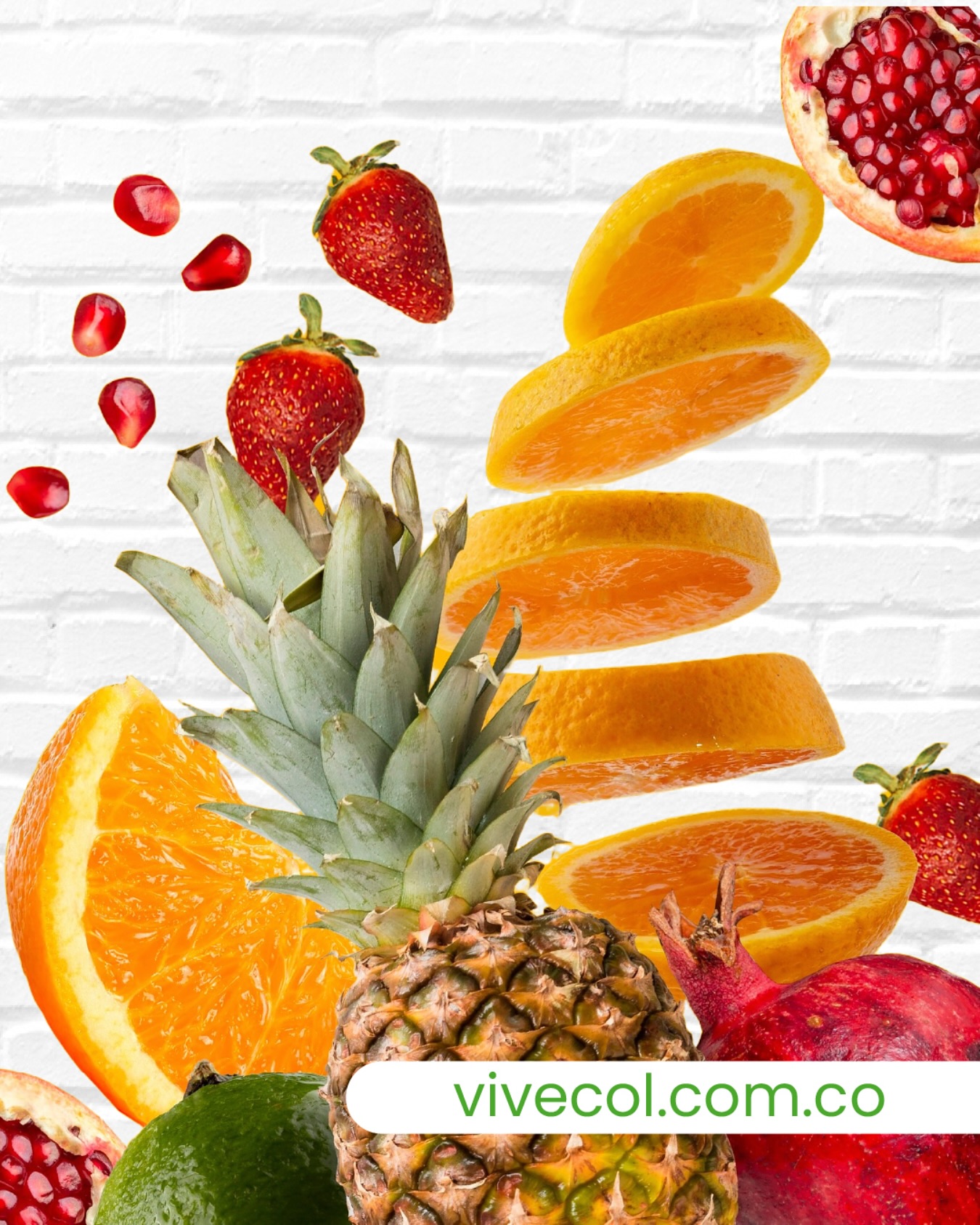 Frescura que se nota 🍉✨
Nos encargamos de que tus frutas y verduras lleguen en perfectas condiciones, directo a tu hogar. Pide fácil, rápido y seguro.
📲 +57 312 357 3010
#frutasyverdudas #domicilios #frutasadomicilio #domiciliosbogota #verdurasadomicilio #fruver #mercadosadomicilio #frutasadomicilio Frescura que se nota 🍉✨
Nos encargamos de que tus frutas y verduras lleguen en perfectas condiciones, directo a tu hogar. Pide fácil, rápido y seguro.
📲 +57 312 357 3010
#frutasyverdudas #domicilios #frutasadomicilio #domiciliosbogota #verdurasadomicilio #fruver #mercadosadomicilio #frutasadomicilio