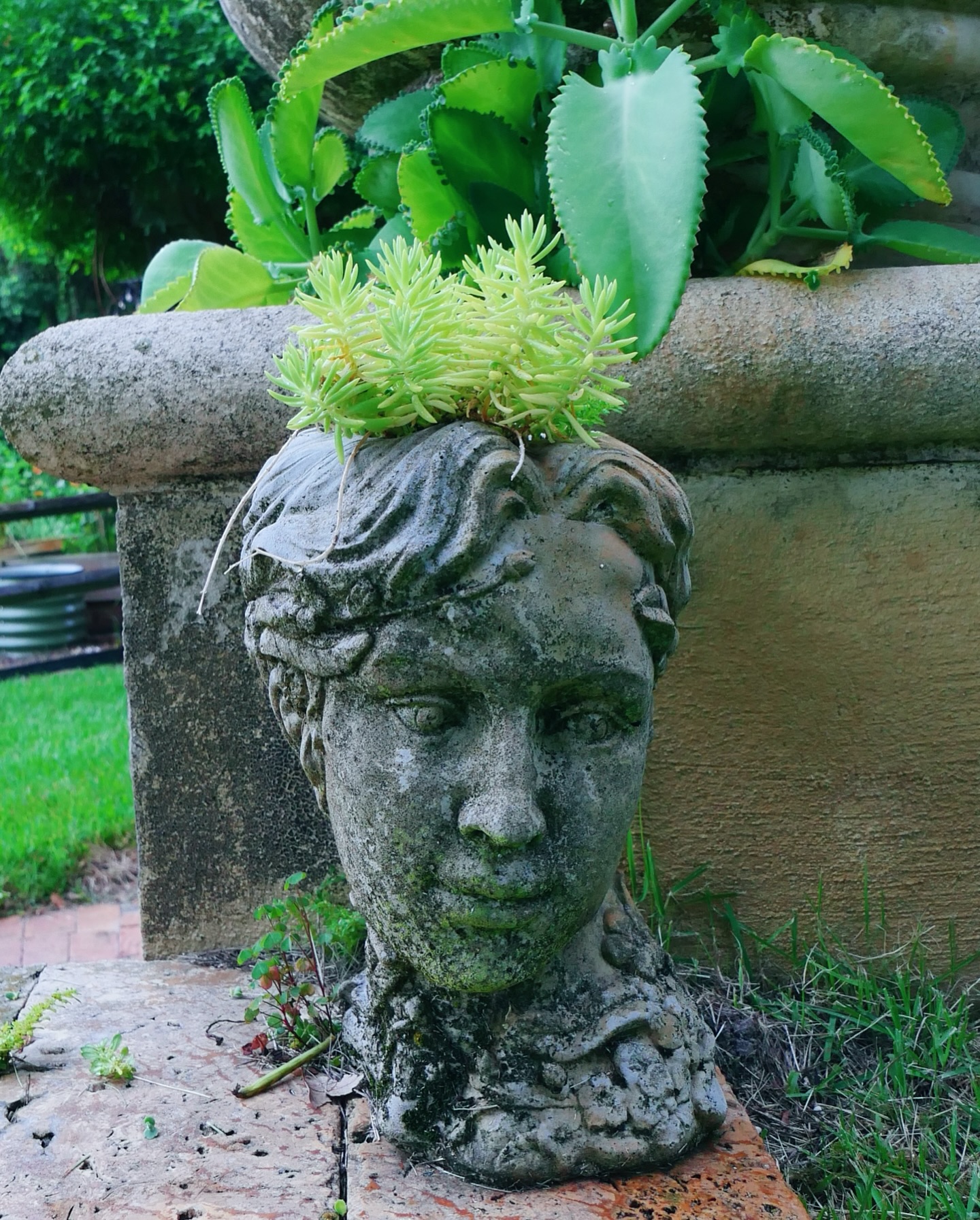 I decided to take on a new project this summer: learning to photograph my flowers and garden with a real camera. As many of you know, my husband does a lot of my photography but he is not always available when the light is just right. He has been teaching me a lot though! Iβve been practicing and here are a few shots I took this weekend. π©π»βπΎπ·πΈ #summerflowers #farmgalflowers #zinnias #flowerphotography #slowflowerssociety #locallygrown #farmerflorist #zone10a #growyourown #cutflowers #floraldesign #floridaflowers #flowerstagram #flowers #floraldesign #flowerarrangement #inmygarden #floridagrown #inthegarden #bouquet #inmygardentoday #growyourown #marthastewartsummer