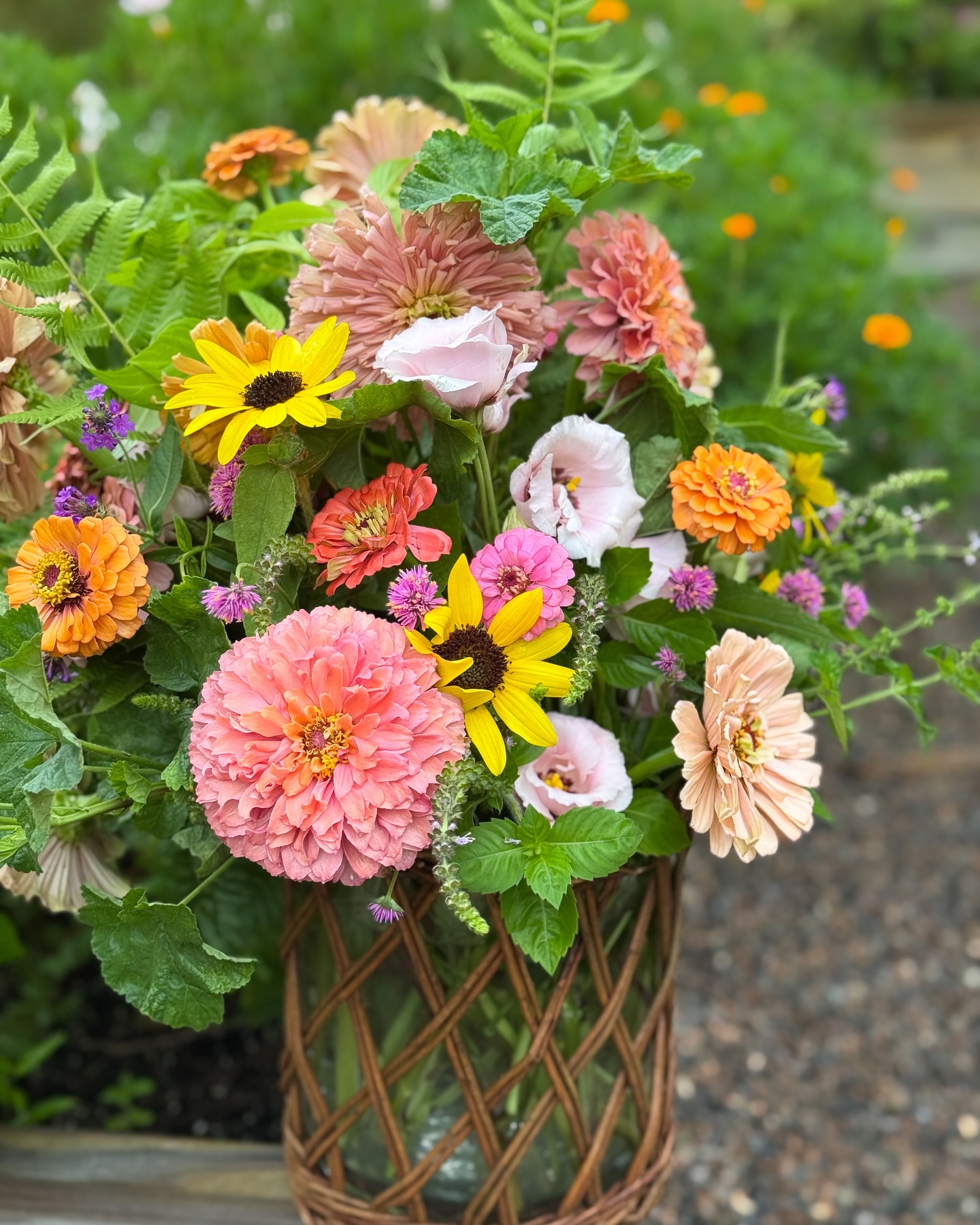 I picked lots of zinnias, gomphrena, verbena, sunflowers, lissies, holy basil, hollyhock foliage and ferns today! π©π»βπΎπ»π©· #summerflowers #farmgalflowers #zinnias #slowflowerssociety #locallygrown #farmerflorist #zone10a #cutflowers #floraldesign #floridaflowers #flowerstagram #flowers #floraldesign #flowerarrangement #inmygarden #floridagrown #inthegarden #bouquet #inmygardentoday #growyourown #centerpiece #growyourown #basil #marthastewartsummer