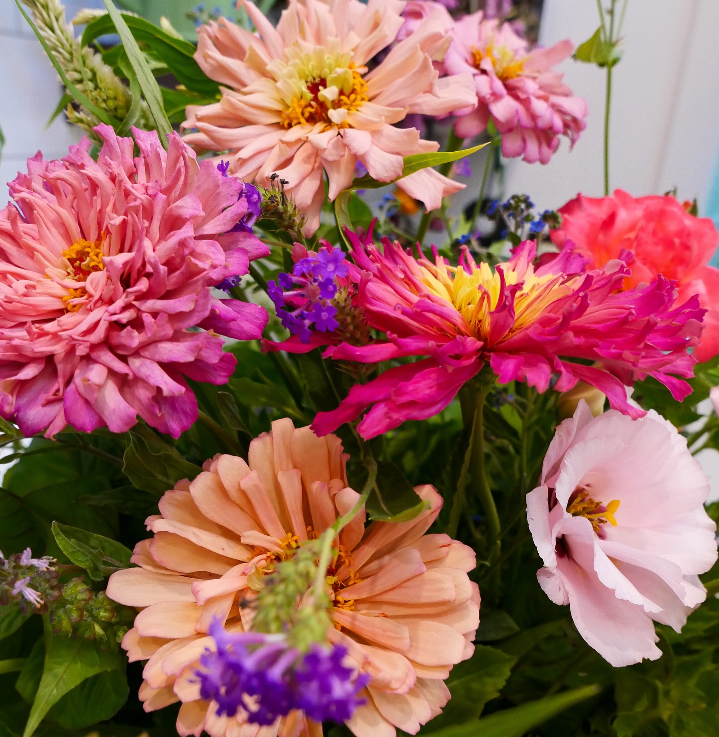 In the cottage today π #flowerstudio #cottage #farmgalflowers #slowflowerssociety #locallygrown #farmerflorist #zone10a #growyourown #cutflowers #floraldesign #floridaflowers #flowerstagram #flowers #floraldesign #flowerarrangement #inmygarden #floridagrown #inthegarden #bouquet #inmygardentoday #cottagestyle
