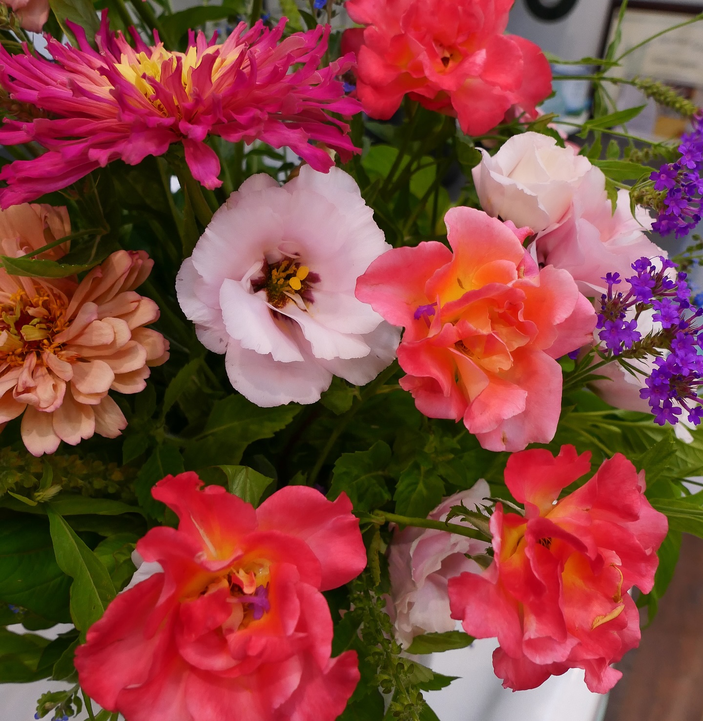 In the cottage today π #flowerstudio #cottage #farmgalflowers #slowflowerssociety #locallygrown #farmerflorist #zone10a #growyourown #cutflowers #floraldesign #floridaflowers #flowerstagram #flowers #floraldesign #flowerarrangement #inmygarden #floridagrown #inthegarden #bouquet #inmygardentoday #cottagestyle