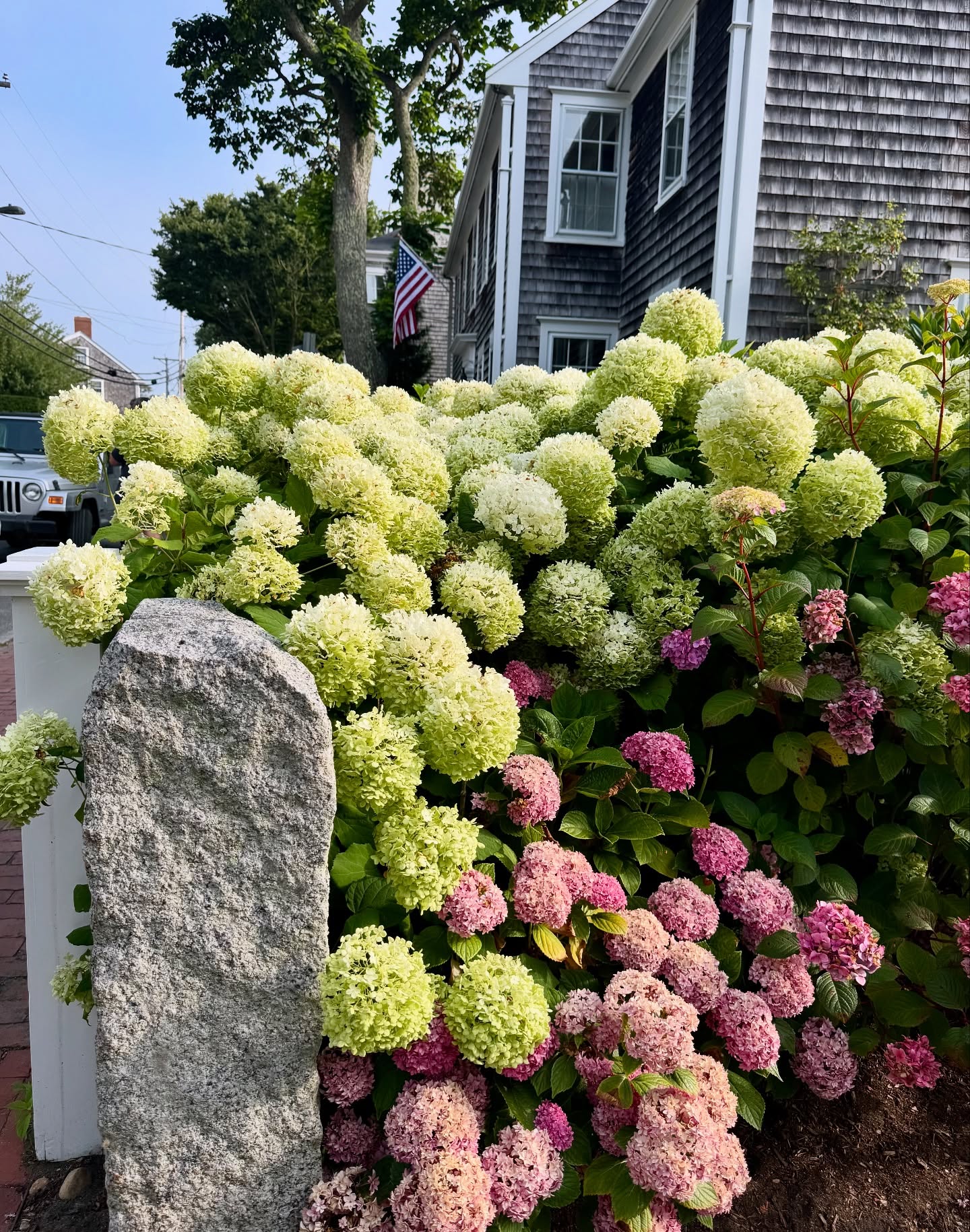 The flowers in Nantucket are magical! πΈπΈπΈ #summerflowers #hydrangea #farmerflorist #nantucket #islandflowers #locallygrown #farmgalflowerstravel #flowers #dahlias