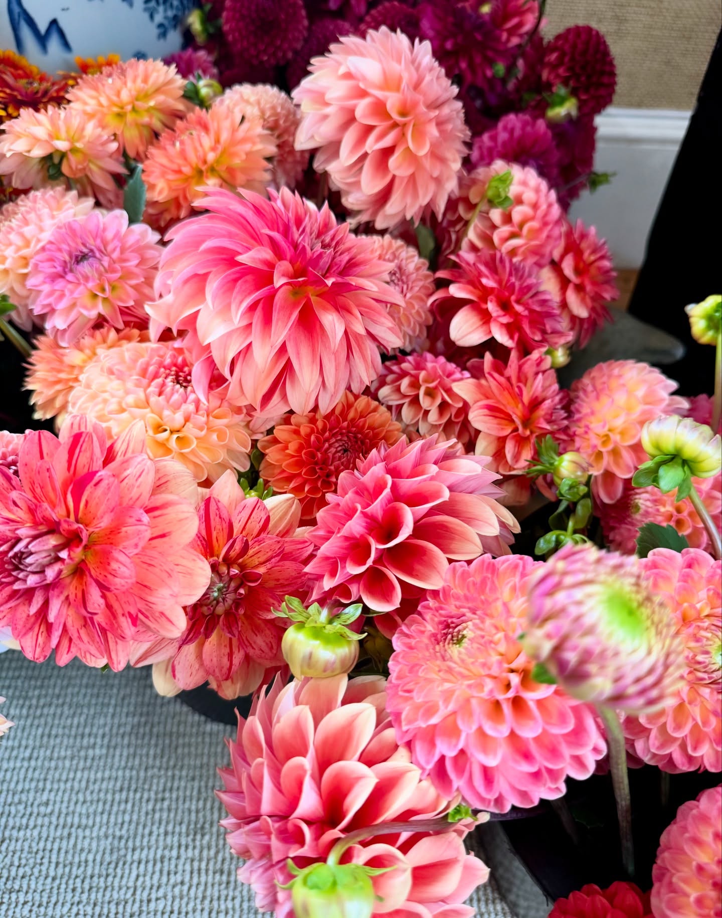 The flowers in Nantucket are magical! πΈπΈπΈ #summerflowers #hydrangea #farmerflorist #nantucket #islandflowers #locallygrown #farmgalflowerstravel #flowers #dahlias