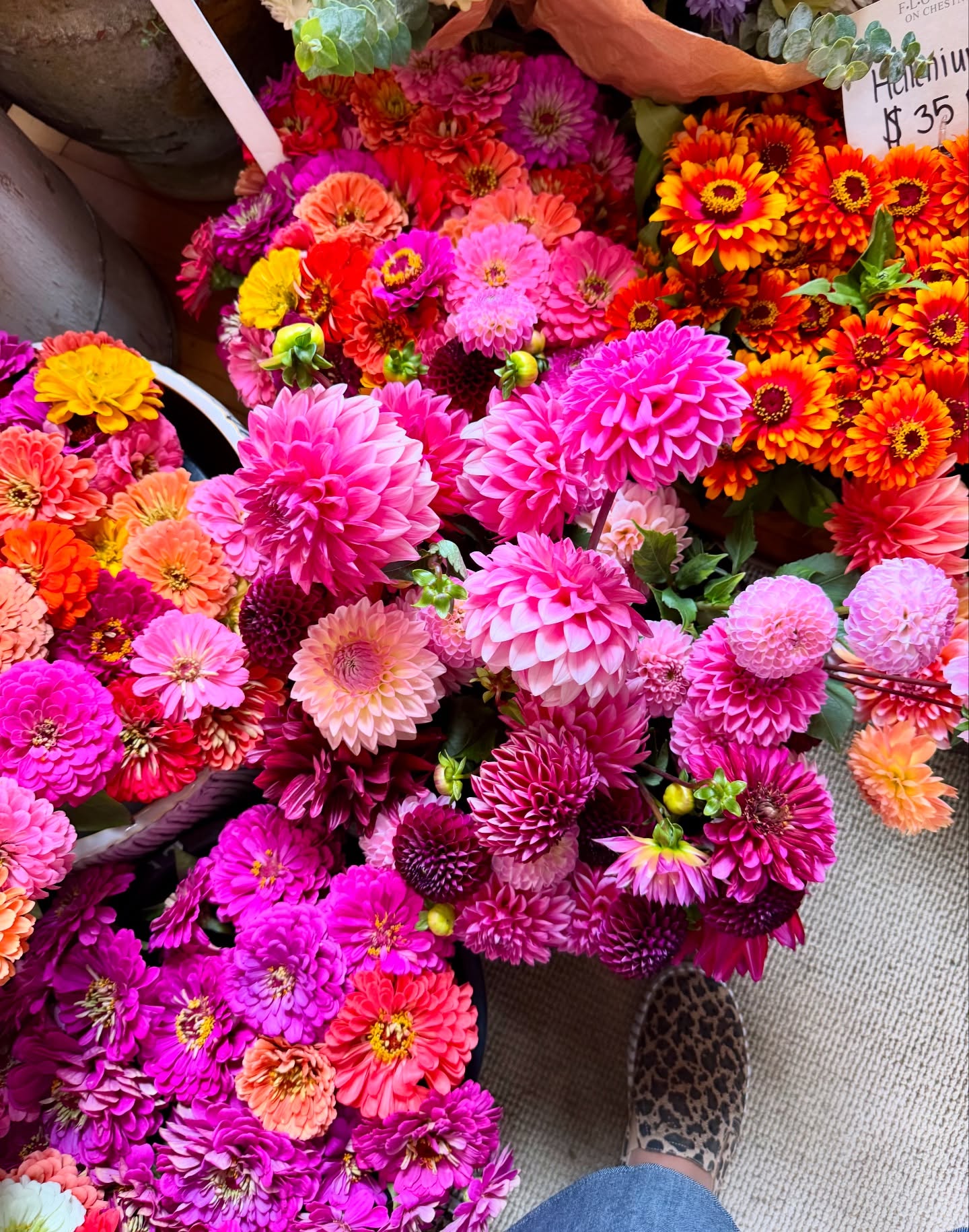 The flowers in Nantucket are magical! πΈπΈπΈ #summerflowers #hydrangea #farmerflorist #nantucket #islandflowers #locallygrown #farmgalflowerstravel #flowers #dahlias