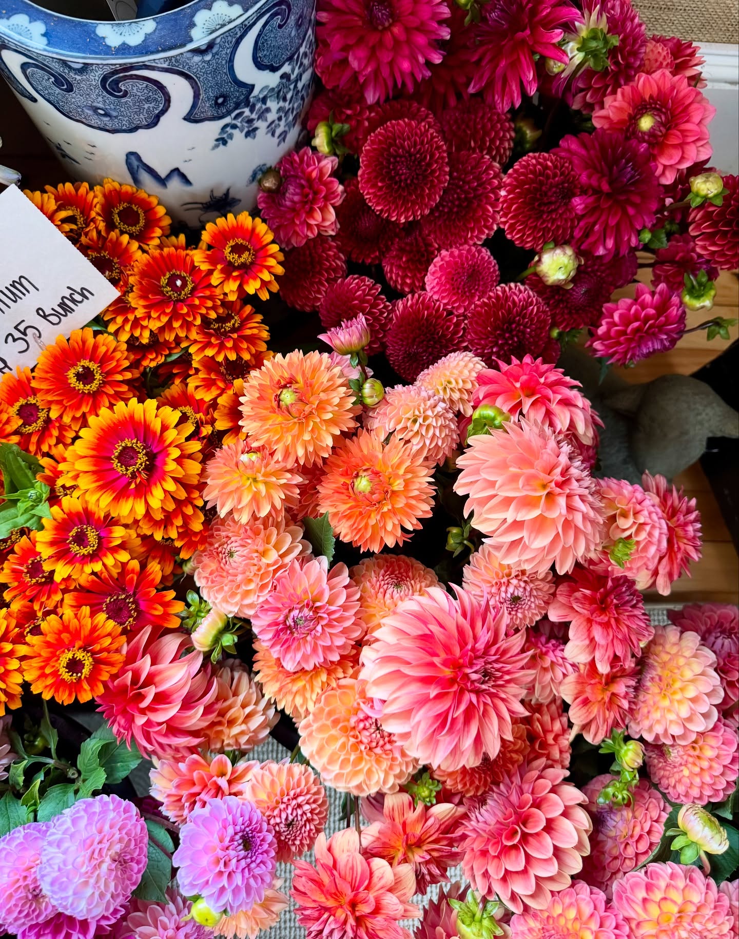 The flowers in Nantucket are magical! πΈπΈπΈ #summerflowers #hydrangea #farmerflorist #nantucket #islandflowers #locallygrown #farmgalflowerstravel #flowers #dahlias